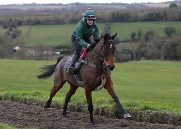 Blaklion, pictured on the gallops at Grange Hill Farm, Cheltenham (Picture: Andrew Matthews/PA Wire).