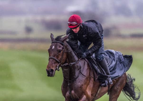 Jockey Sam Coltherd rides out on the gallops at Bingley on Grand National hope I Just Know (Picture: James Hardisty).