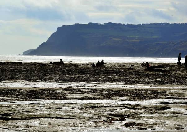 What more should be done to improve the future fortunes of Yorkshire's coast?