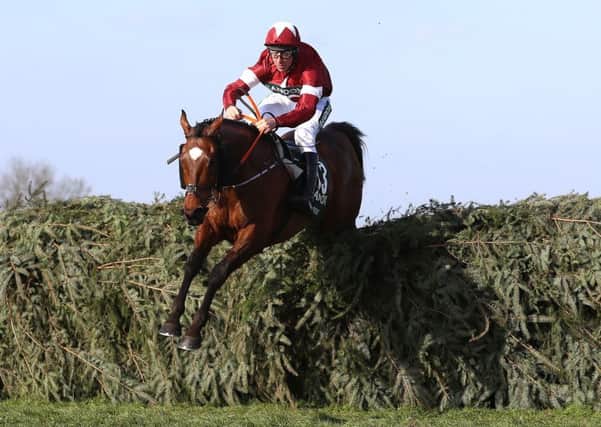 Tiger Roll and Davy Russell clear the last fence in the Grand National.