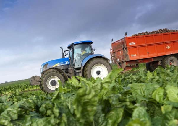 Thousands of farmers who grew sugar beet in 1999 and 2000 are set for a share of the levy refund following the EU ruling.