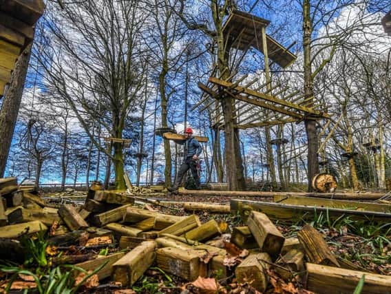 Picture James Hardisty.
Construction of Go Ape at Temple Newsam, Leeds.