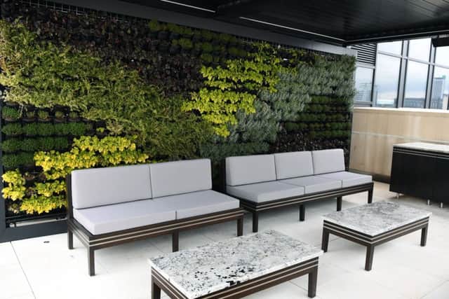 The outdoor entertaining space with living wall and butterfly hotel.