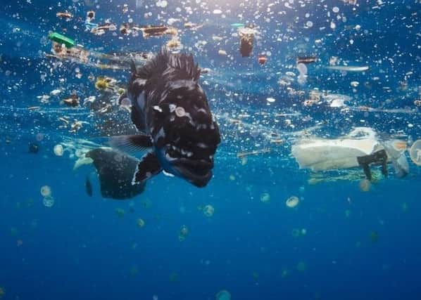 What more can be done to tackle marine pollution?