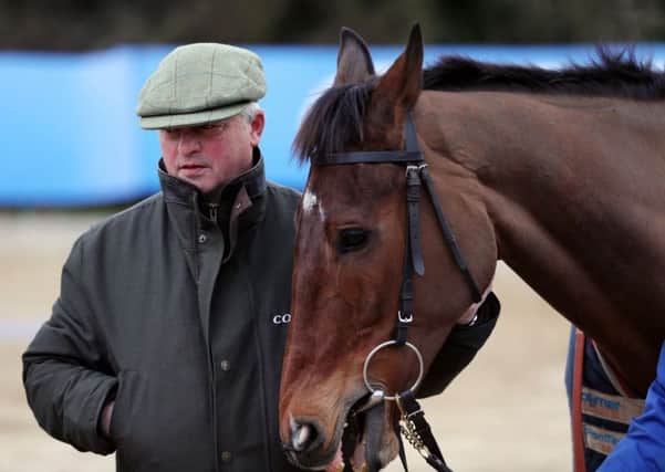 Trainer Colin Tizzard with Cue Card who will parade today at Sandown's season-ending meeting.