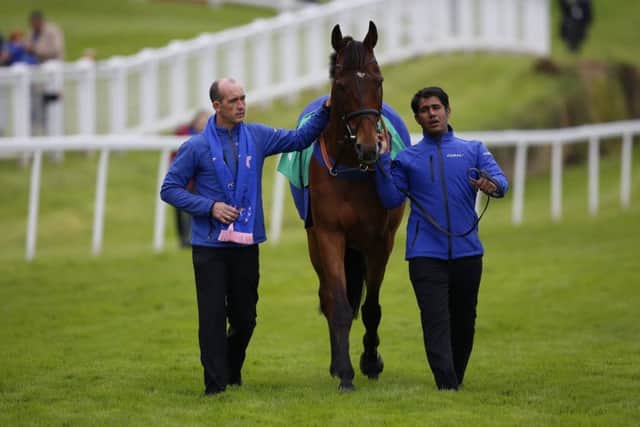 The recentley retired Cue Card is paraded before The bet 365 Celebration Chase Race run during bet365 Jump Finale day at Sandown. (Picture: Julian Herbert/PA Wire)