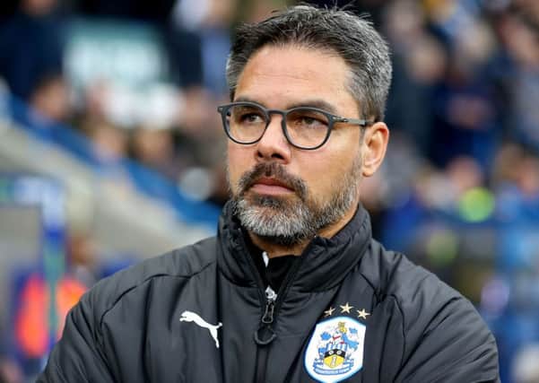 Huddersfield Town manager David Wagner: One further win, I am absolutely sure, will be enough.