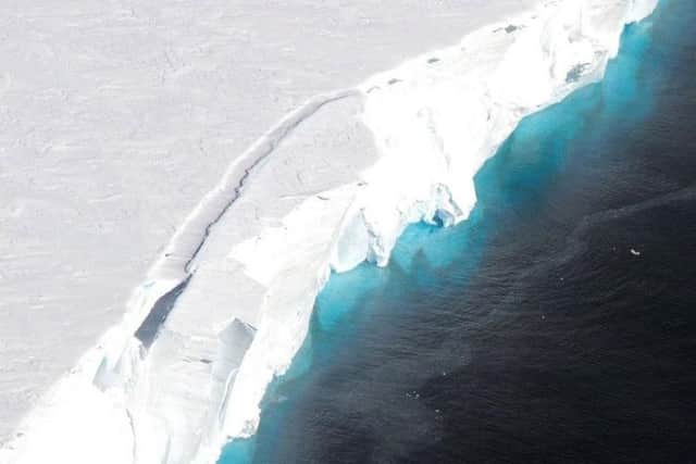 The Thwaites Glacier is in danger of collapsing into the sea.