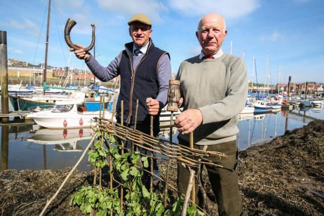 Planting of the Penny Hedge in Whitby.