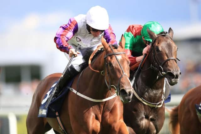Laurens ridden by P.J. McDonald wins the William Hill May Hill Stakes at the St Leger Festival at Doncaster last September. Picture: Mike Egerton/PA