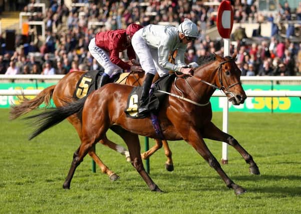 Mark Johnston's Mildenberger will test his Epsom Derby credentials at York later this month.