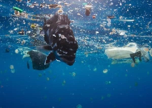 What more can be done to tackle plastic pollution?