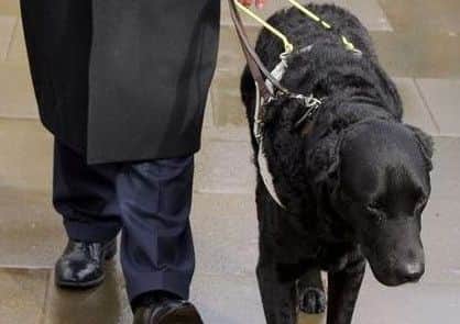 Lord Blunkett and his late guide dog Cosby.