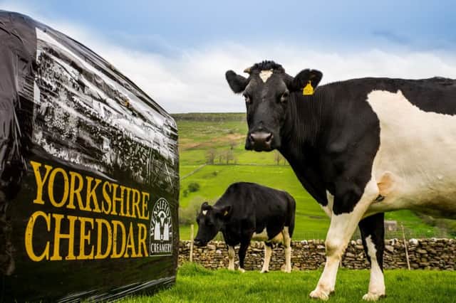 Yorkshire Cheddar is made in the Dales