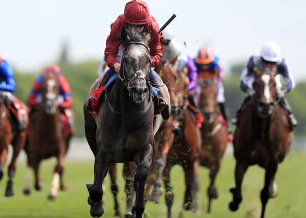 Oisin Murphy and Roaring Lion won the Dante Stakes this week.
