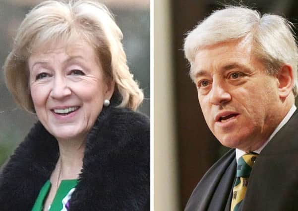 Speakwer John Bercow has been accused of calling Andrea Leadsom, the Leader of the Commons, a "stupid woman".