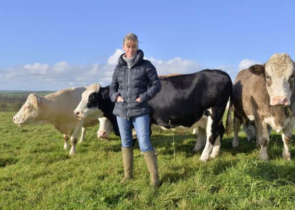NFU president Minette Batters welcomed the call for a farm productivity plan to be published by May 2019.