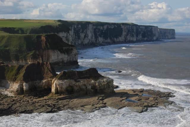Flamborough Cliffs is a popular spot for seabirds.