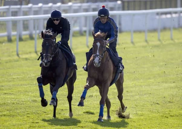 Young Rascal and James Doyle, left, exercise with a stable companion during the Derby Breakfast with the Stars event (Picture: PA).