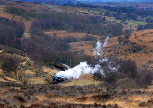 DOWN THE LINE: The North Yorkshire Moors Railway.