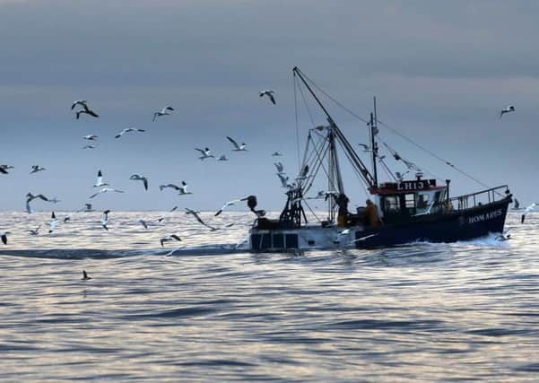 What will Brexit mean for the fishing industry?