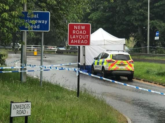 A teenager has been arrested over the murder of another teenager in Sheffield