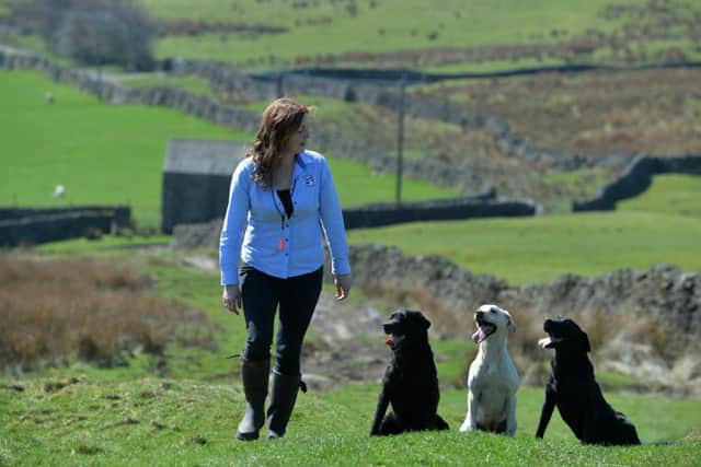 Sonya Wiggins a gamekeepers wife and  the coordinator of the Yorkshire Dales Moorland Group, with some of her gundogs , on Grassington Moor.
19  April 2018.  Picture Bruce Rollinson